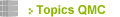 Topics QMC